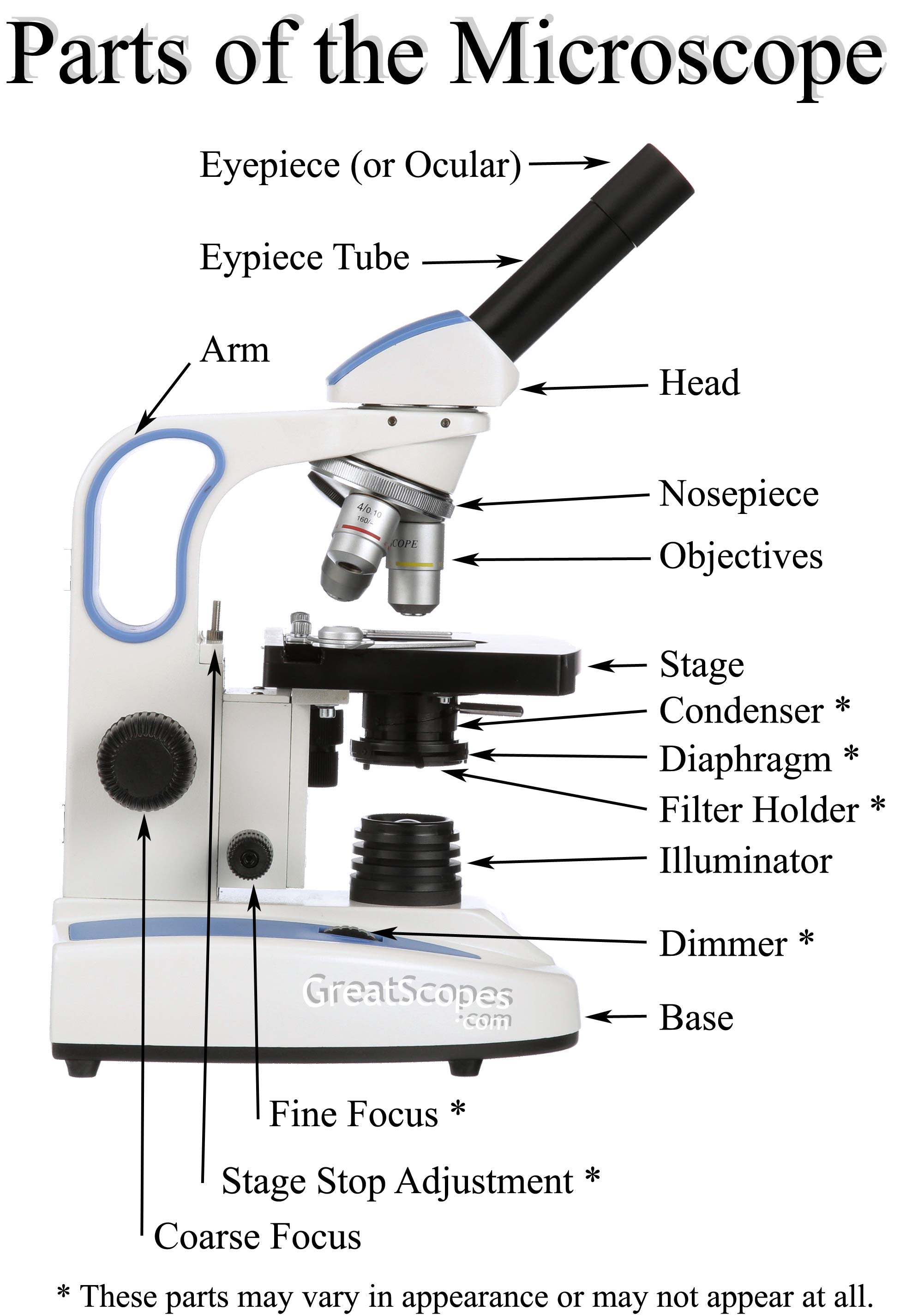 Parts of a Student Microscope