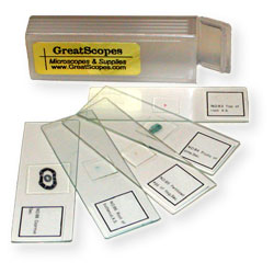 Prepared Microscope Slides